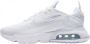 Nike Air Max 2090 (TD) sneakers wit lichtgrijs - Thumbnail 5
