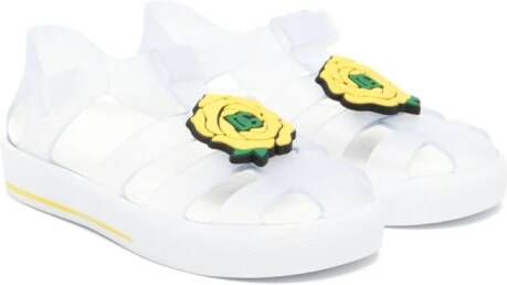 Dolce & Gabbana Kids Jelly schoenen met bloe patch Beige