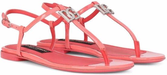 Dolce Gabbana DG Leren Sandalen Roze Schoenen Nl