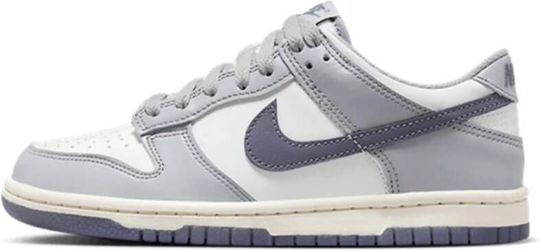 Nike Carbon Lage Sneakers Gray Dames