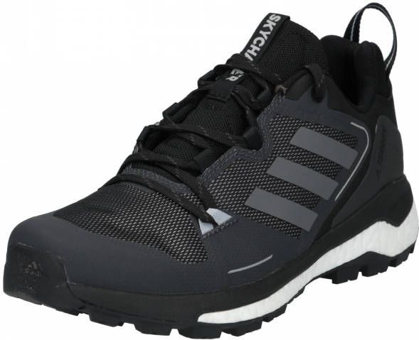 adidas Terrex Lage schoen 'Skychaser 2'