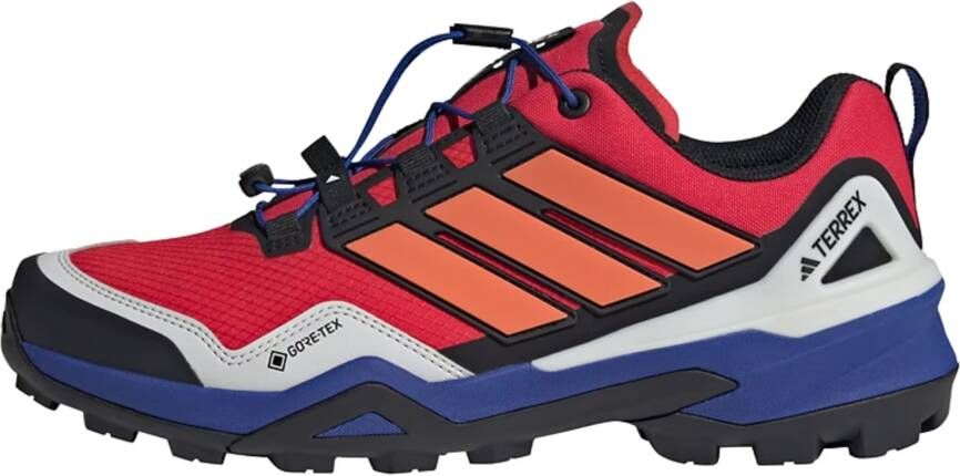 adidas Terrex Lage schoen 'Skychaser'