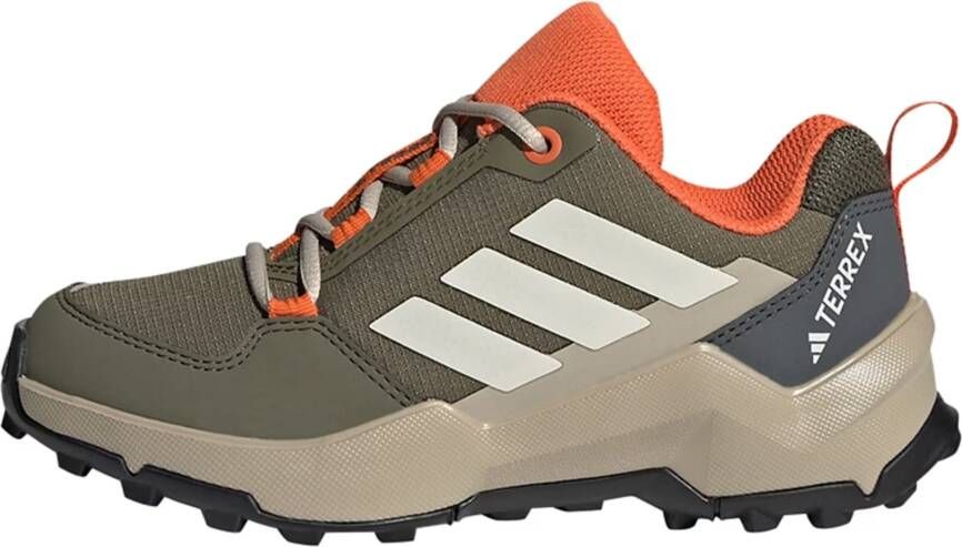 adidas Terrex Lage schoen 'Ax4r'