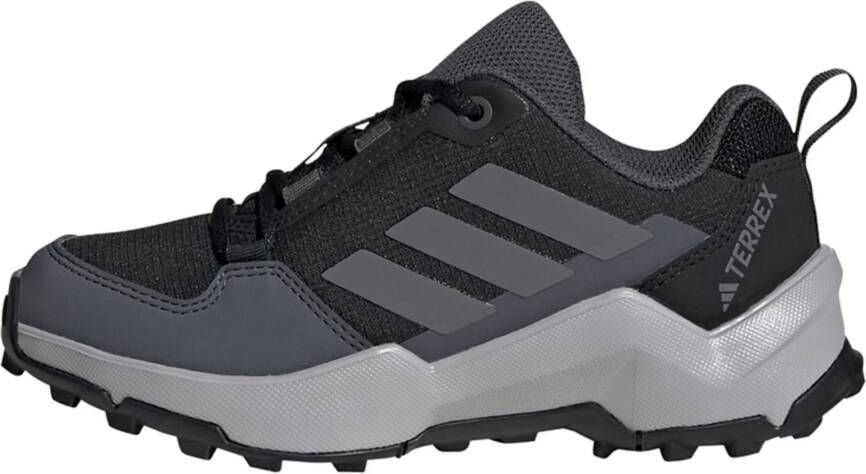 adidas Terrex Lage schoen 'Ax4r'