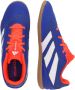 Adidas Performance Predator Club zaalvoetbalschoenen kobaltblauw wit oranje - Thumbnail 18