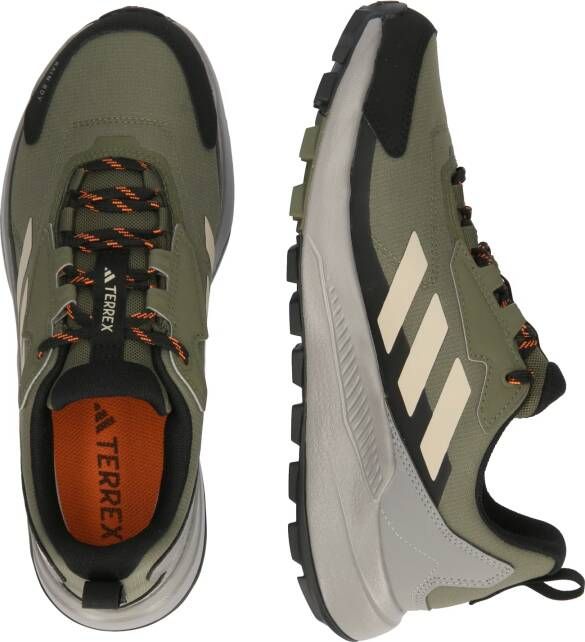 adidas Terrex Lage schoen 'Anylander'