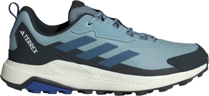 adidas Terrex Lage schoen 'Anylander'