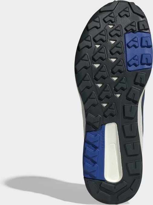 adidas Terrex Lage schoen 'Anylander'