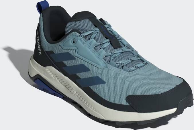 adidas Terrex Lage schoen 'Anylander'