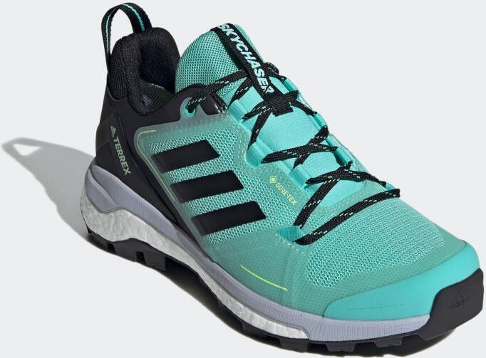 adidas Terrex Lage schoen 'Skychaser 2'