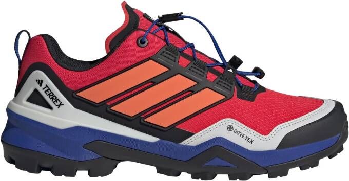 adidas Terrex Lage schoen 'Skychaser'