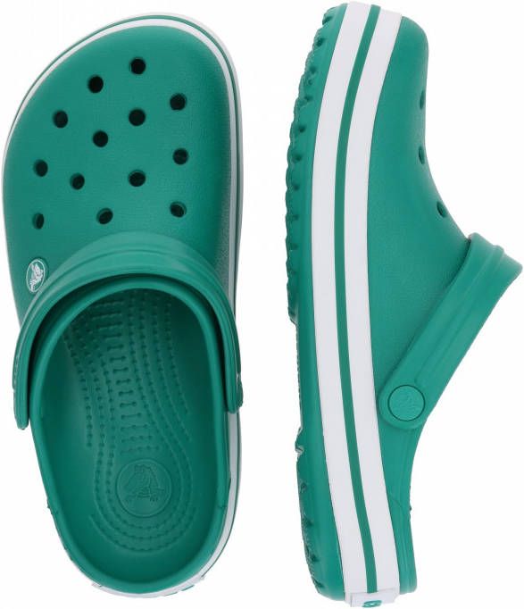 Crocs Clogs