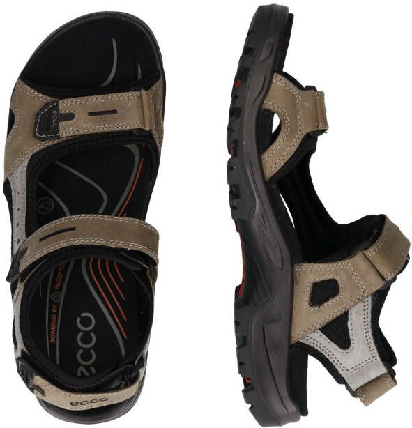 ECCO Sandalen