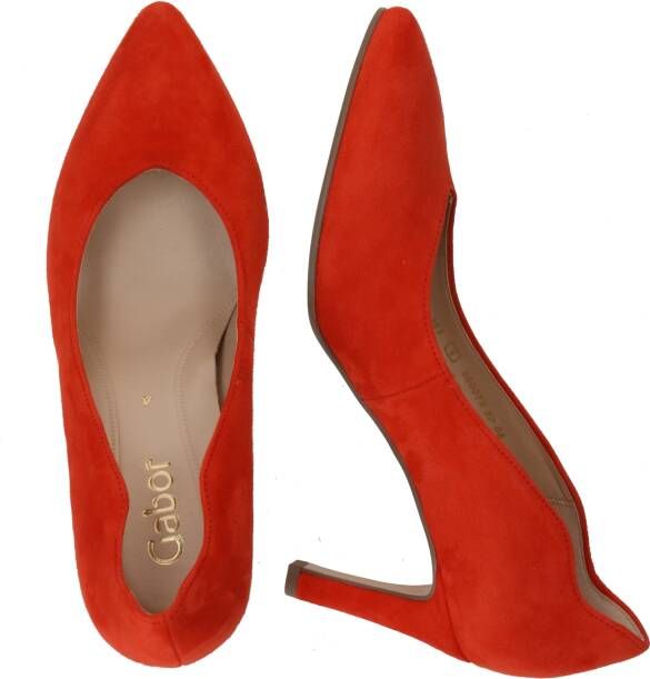 Gabor Pumps