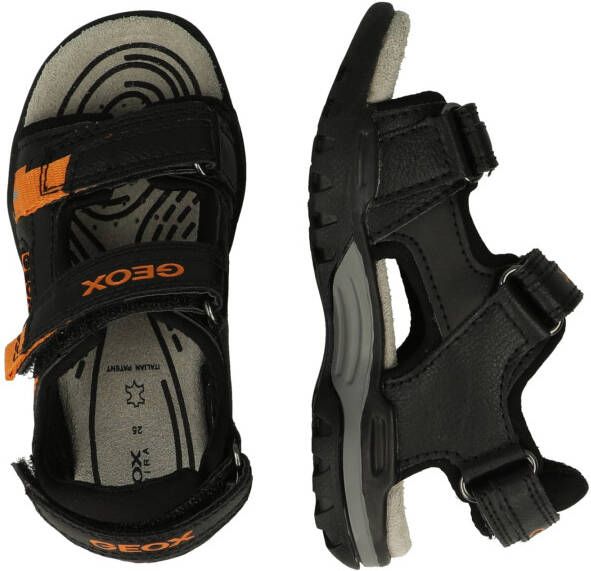 Geox Open schoenen 'BOREALIS'