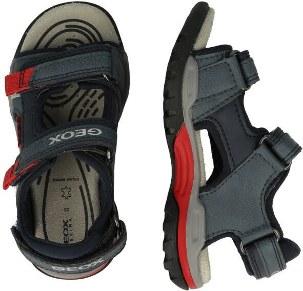 Geox Open schoenen 'BOREALIS'