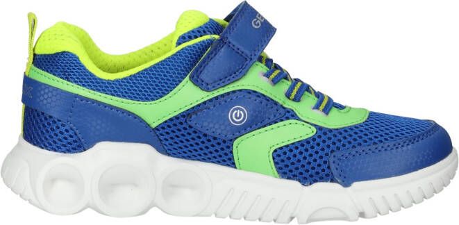 Geox Sneakers