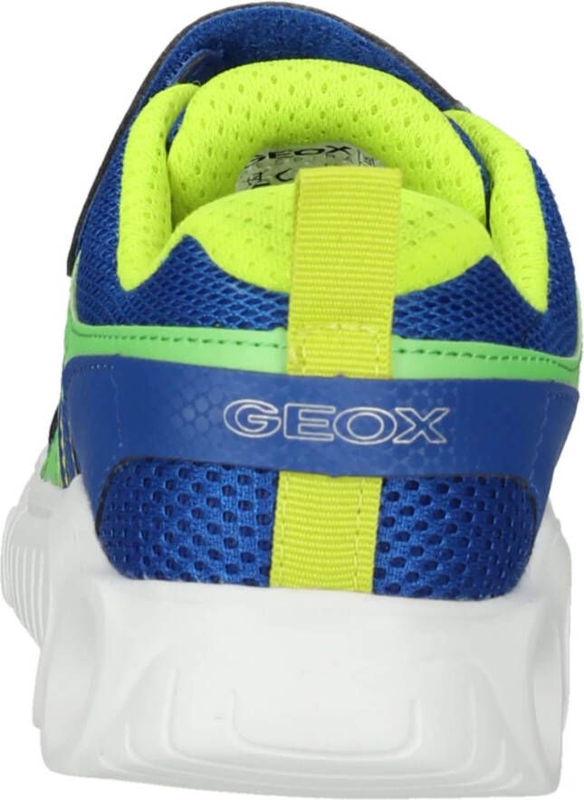 Geox Sneakers