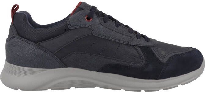 Geox Sneakers laag ' U Damiano A '