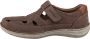 Josef Seibel Bruine leren comfort sandalen Brown Heren - Thumbnail 19