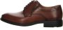 Lloyd Bruine Veterschoenen Kentucky Stijl Brown Heren - Thumbnail 38