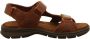 Panama Jack Comfortabele Band Sandalen voor Mannen Brown Heren - Thumbnail 9