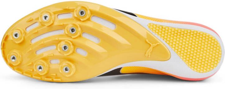 Puma Sportschoen 'EvoSPEED Sprint 14'