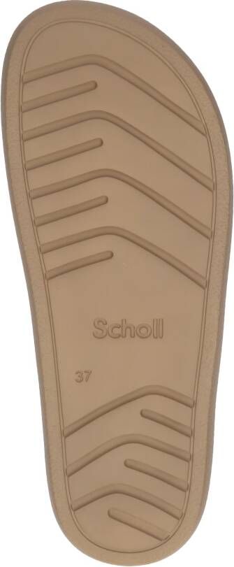 Scholl Clogs