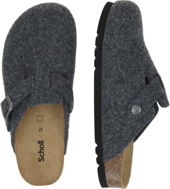 Scholl Clogs