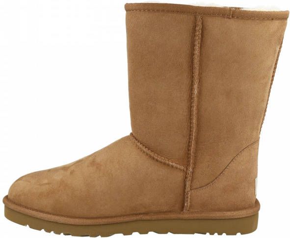 Ugg Snowboots