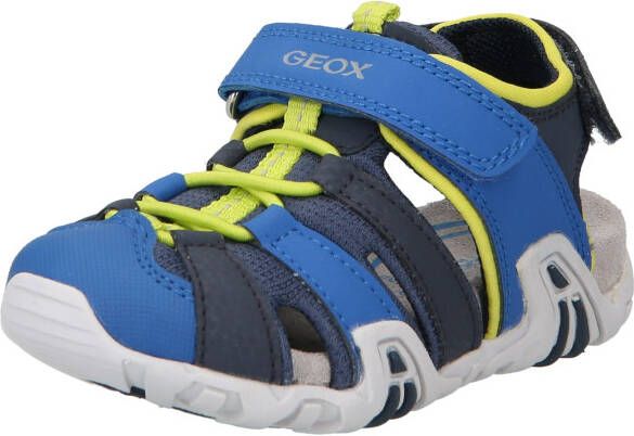 Geox Open schoenen 'BOREALIS'