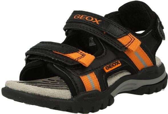 Geox Open schoenen 'BOREALIS'