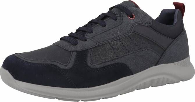 Geox Sneakers laag ' U Damiano A '