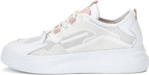 Kazar Studio Sneakers laag