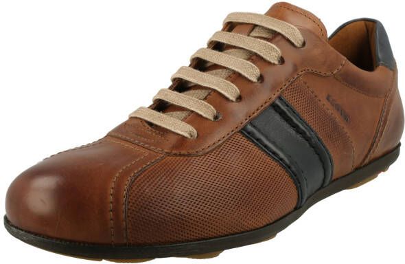 Lloyd Sneakers laag 'Barett'