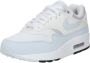 Nike Air Max 1 Wit Platinum Tint Zwart Dames Sneakers DZ2628 - Thumbnail 2