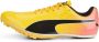 PUMA Evospeed Sprint 14 Voetbalschoenen Sportwear Volwassen - Thumbnail 2