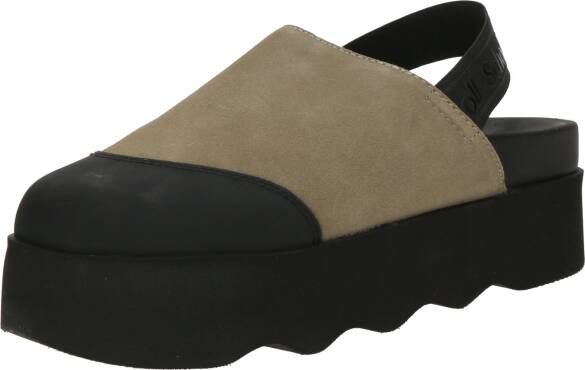 Scholl Clogs