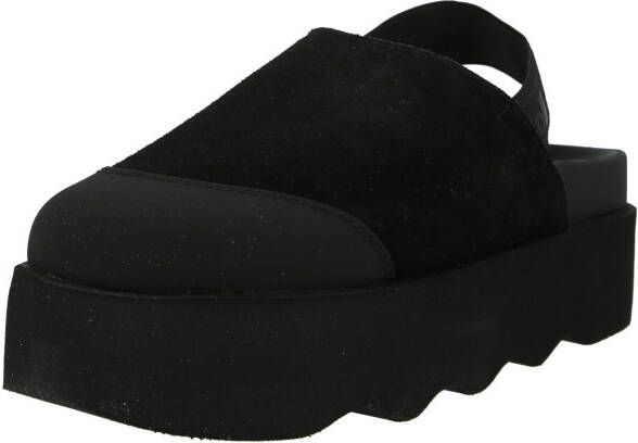 Scholl Clogs