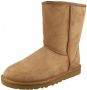 UGG CLASSIC SHORT NEW M Heren VachtlaarzenHeren laarzen Cognac - Thumbnail 2