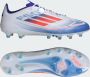 Adidas F50 Elite Artificial Grass Voetbalschoenen - Thumbnail 1