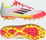 Adidas Perfor ce F50 League Artificial Grass Voetbalschoenen Unisex Wit - Thumbnail 1