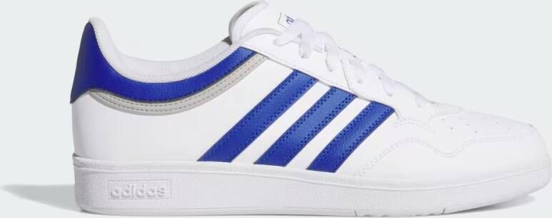 Adidas Hoops 4.0 Schoenen