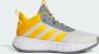 Adidas Ownthegame 2.0 Basketbal Schoenen Grijs Man - Thumbnail 2