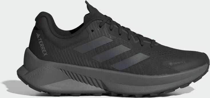 Adidas Terrex Soulstride Flow GORE-TEX Schoenen