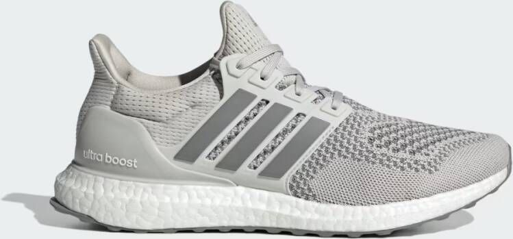 Adidas Ultraboost 1.0 Schoenen