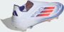 Adidas F50 Elite Laceless FG Cloud White Solar Red Lucid Blue- Cloud White Solar Red Lucid Blue - Thumbnail 8