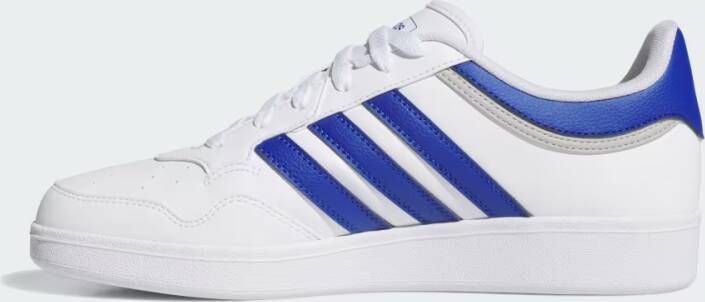 Adidas Hoops 4.0 Schoenen