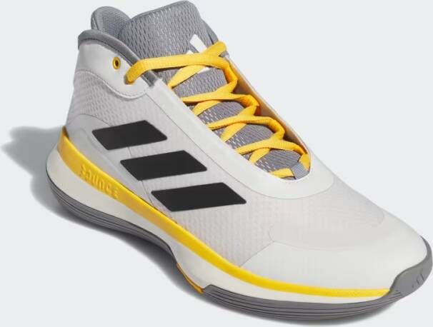 Adidas Performance Bounce Legends Schoenen