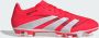 Adidas Predator Club FG Lucid Red Cloud White Core Black- Lucid Red Cloud White Core Black - Thumbnail 7